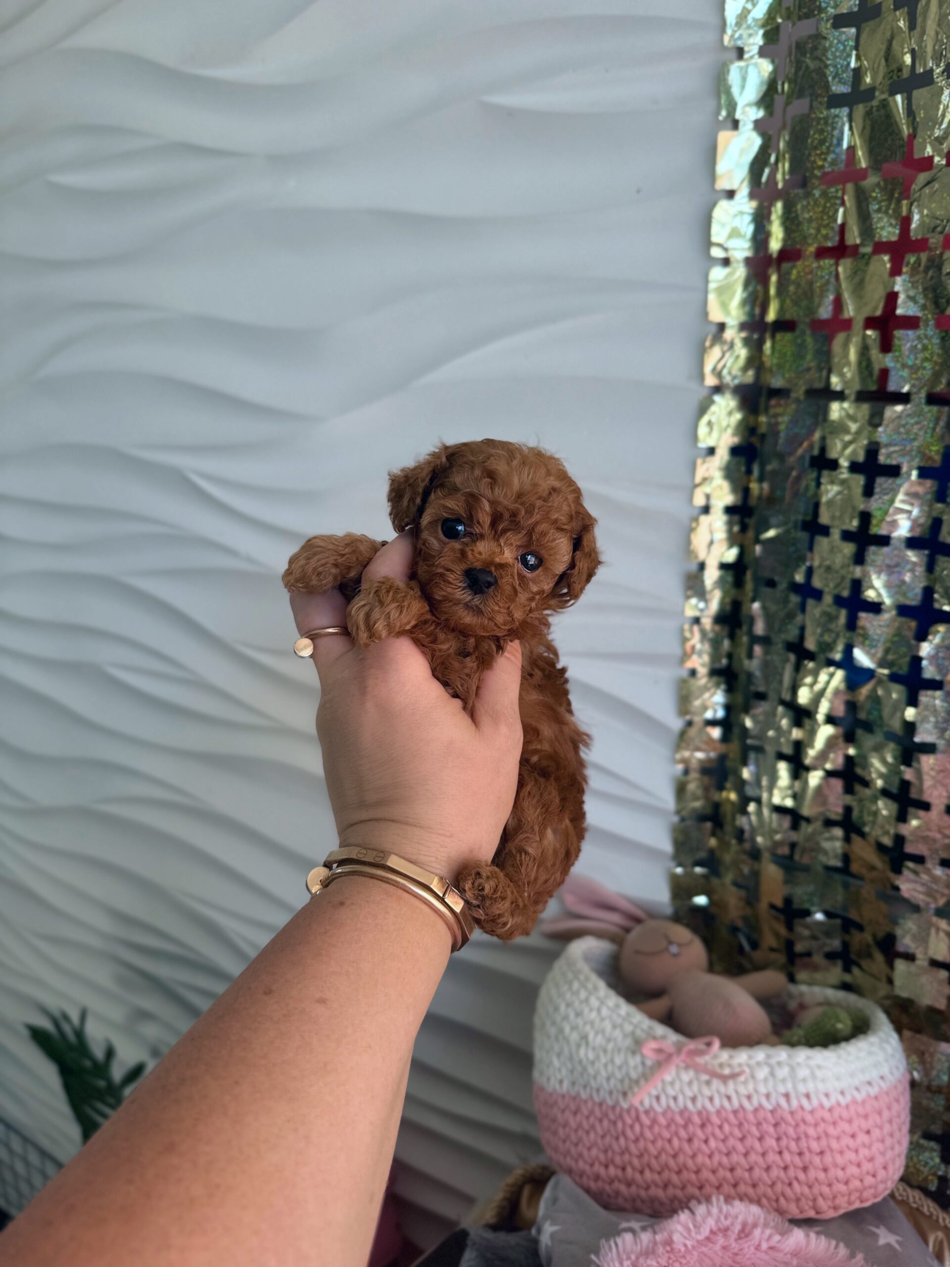 Тикап кукольный красавчик Юджин