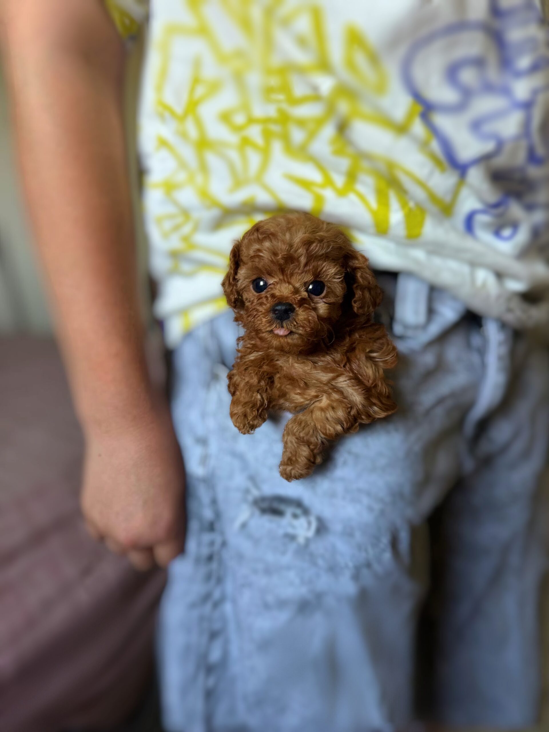 Тикап кукольный красавчик Юджин