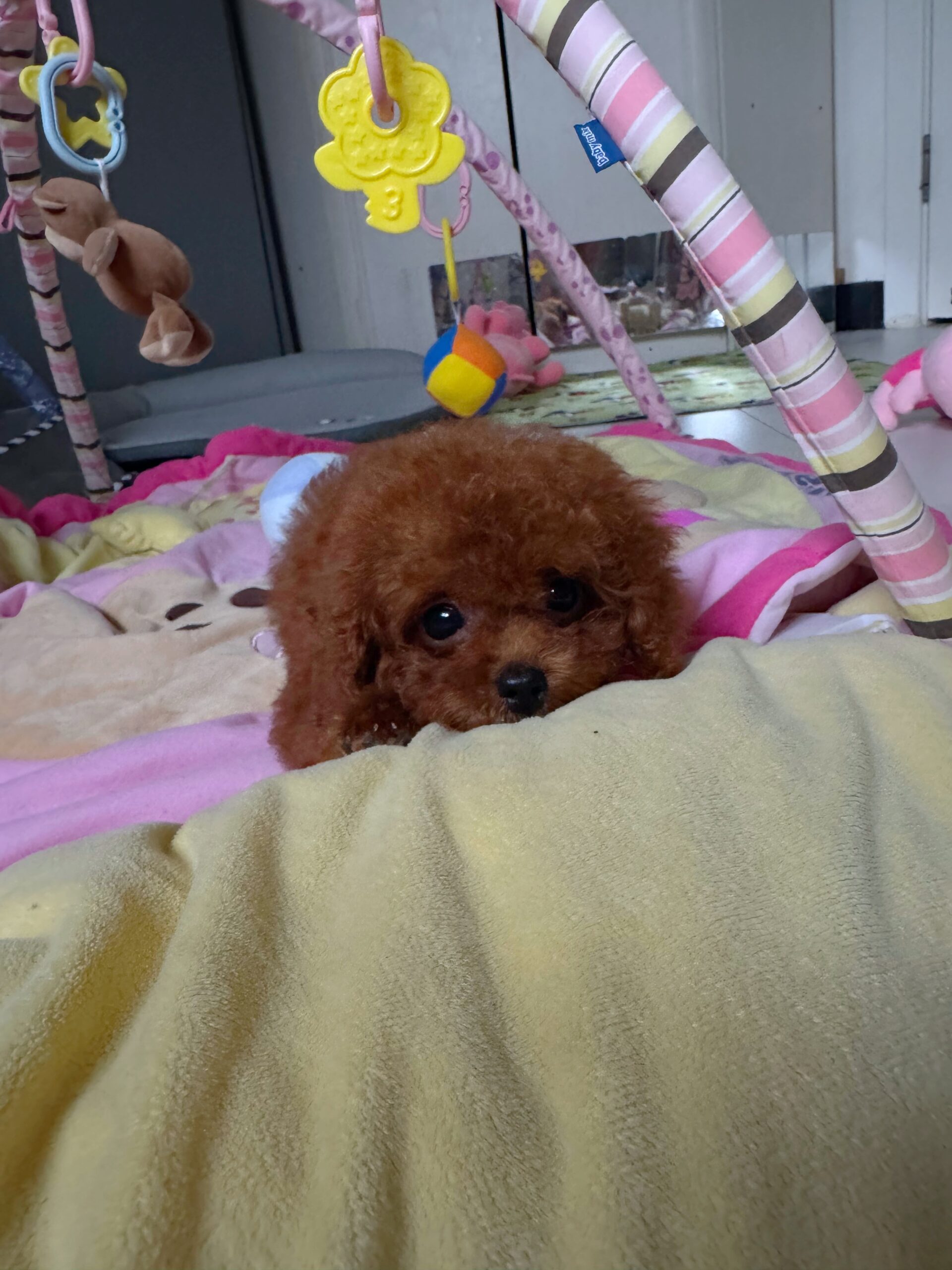 Кукольная красотка  Тая