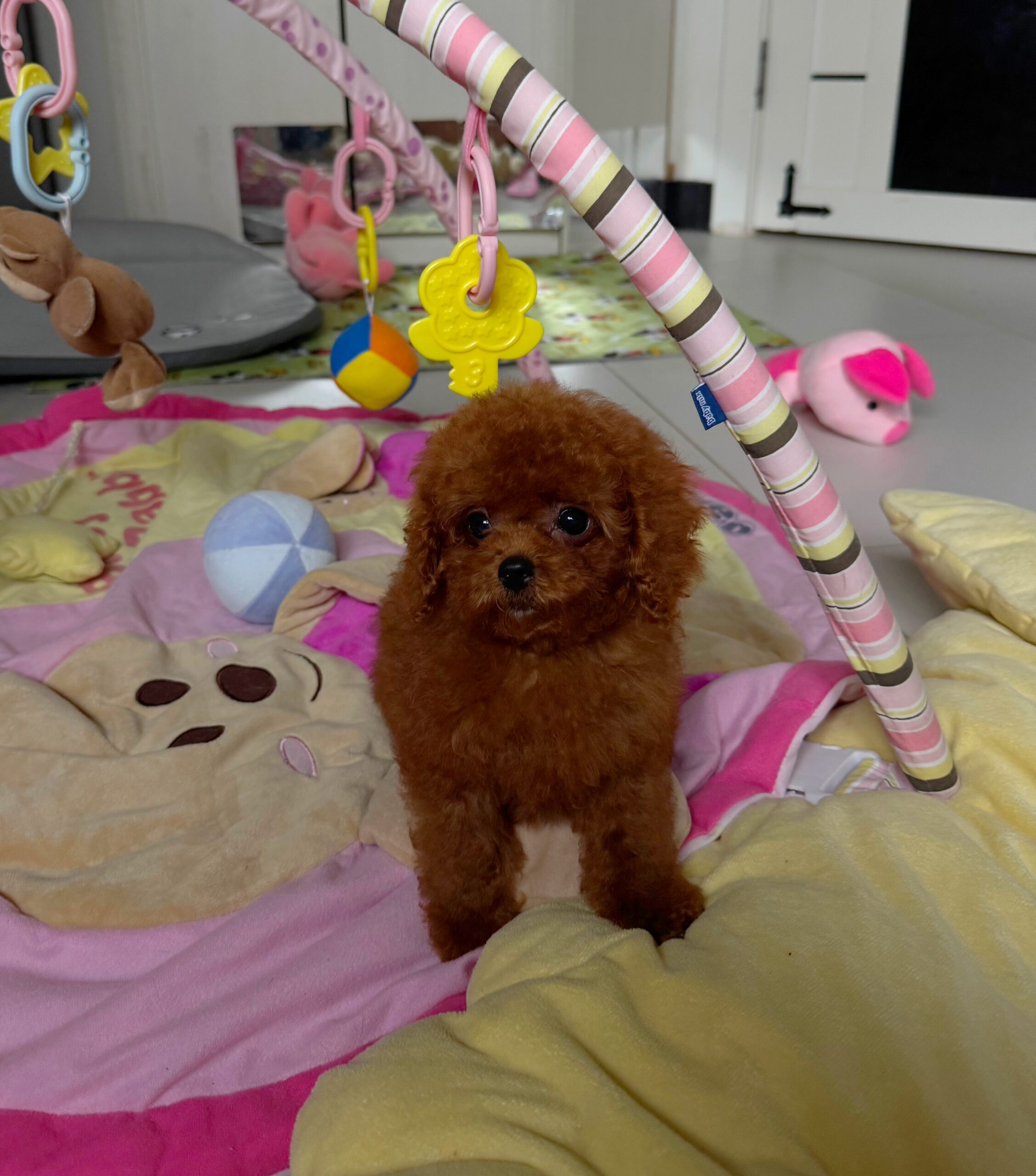 Кукольная красотка  Тая