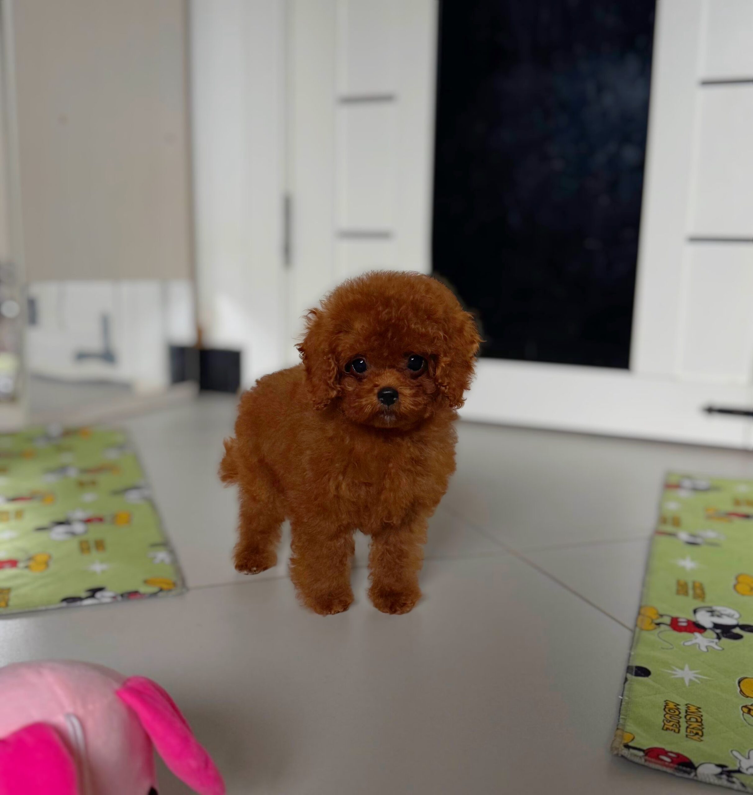 Кукольная красотка  Тая