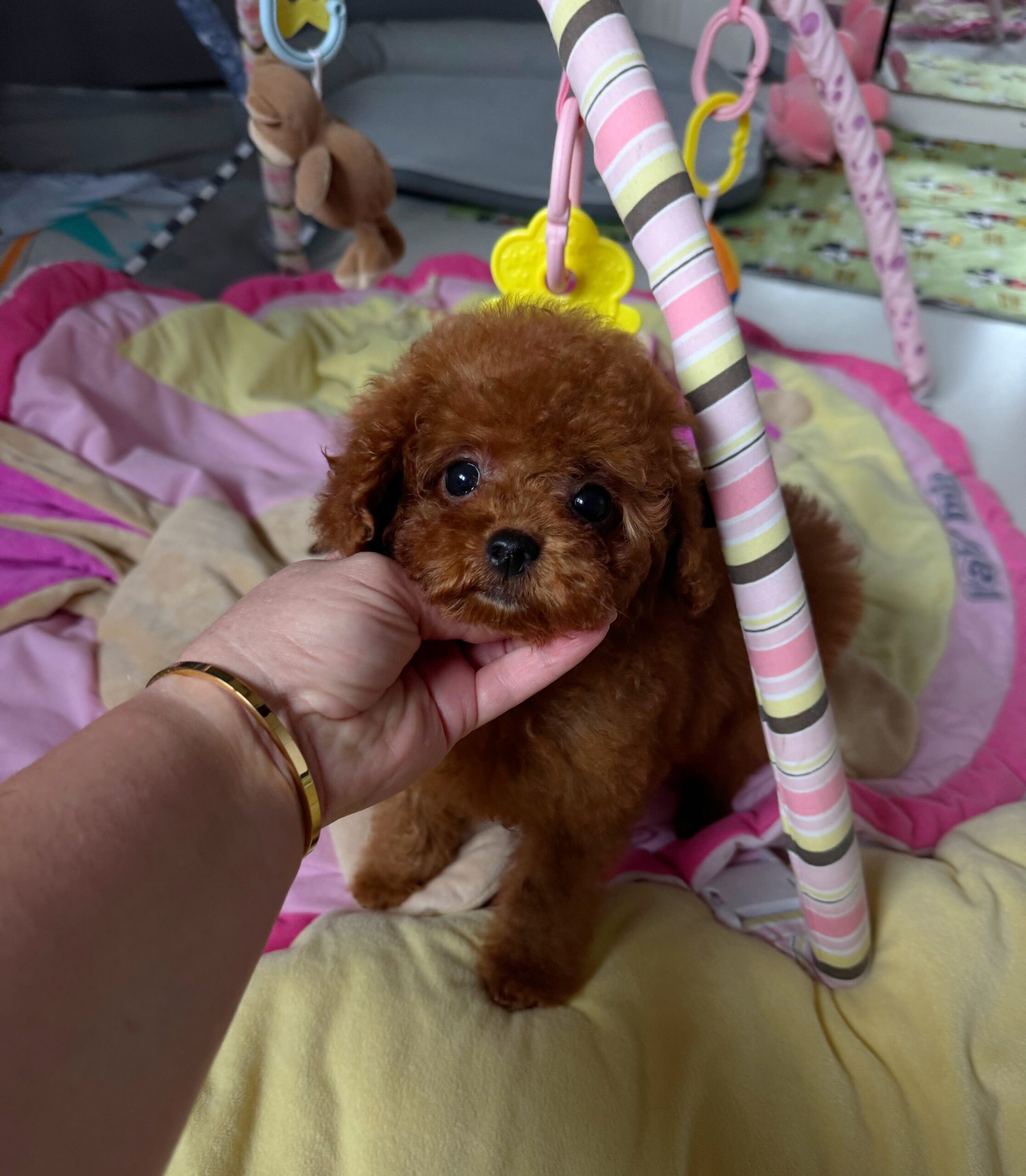 Кукольная красотка  Тая