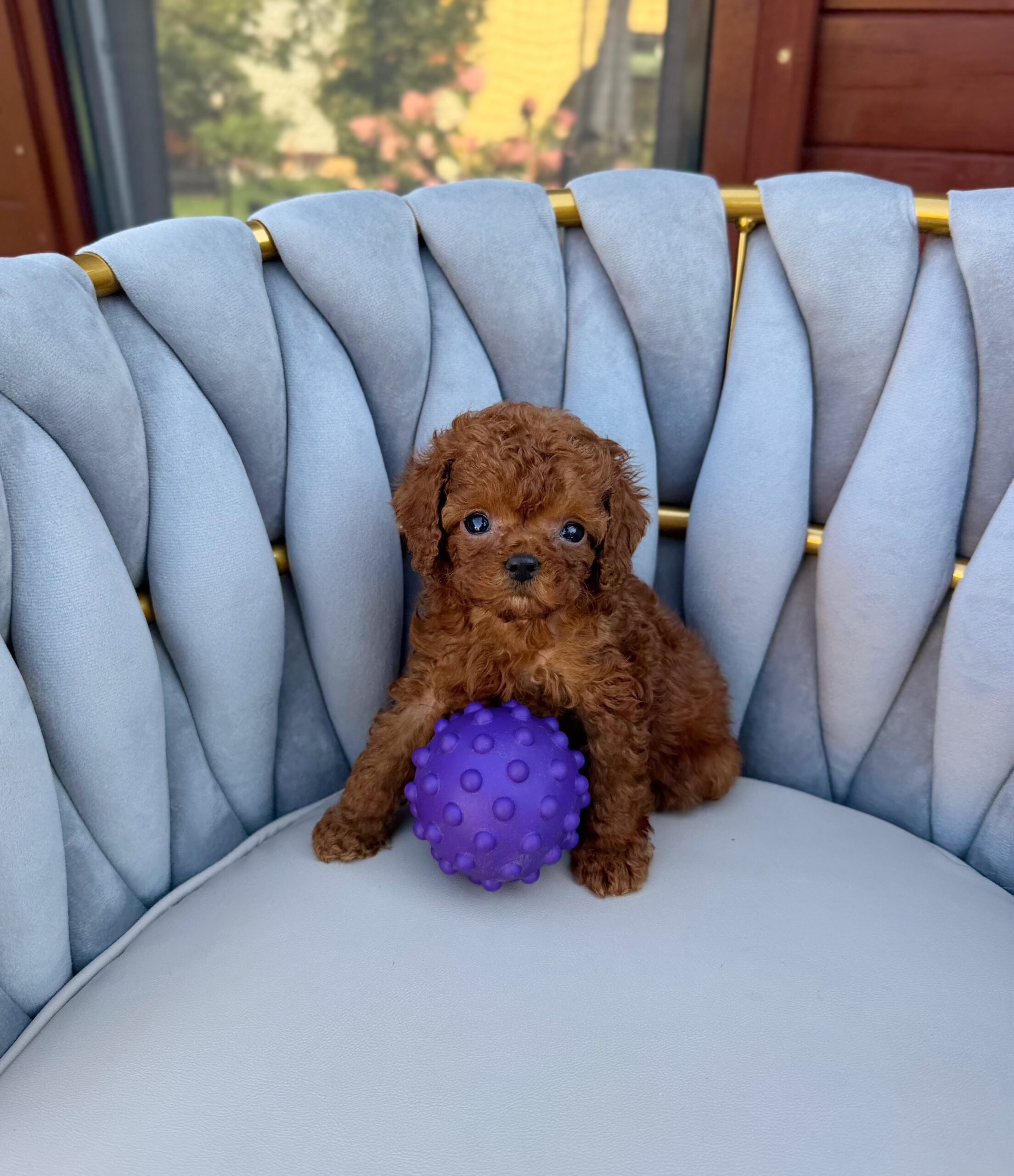 Кукольная красотка  Тая