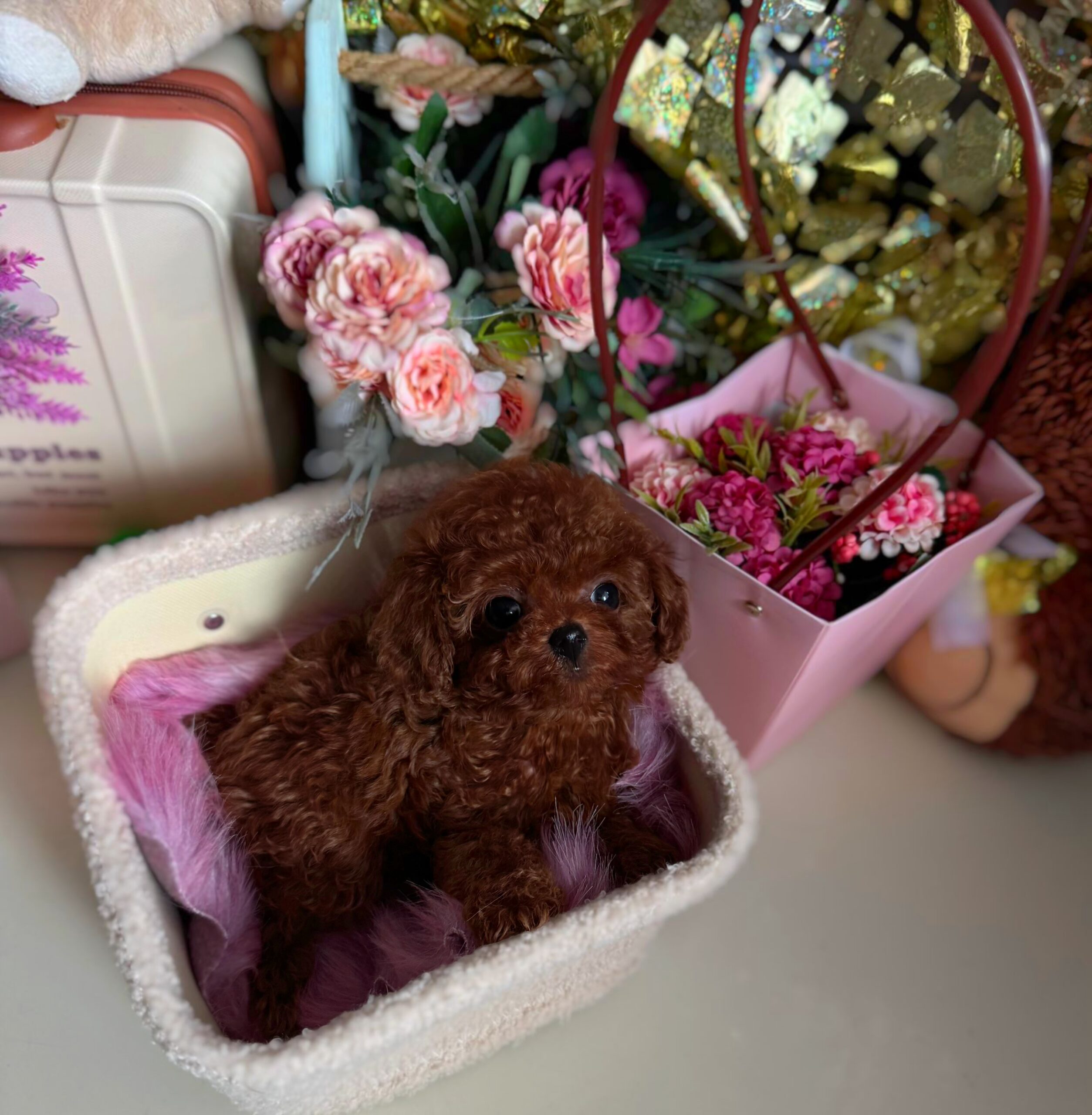 Огненный милашка Сью