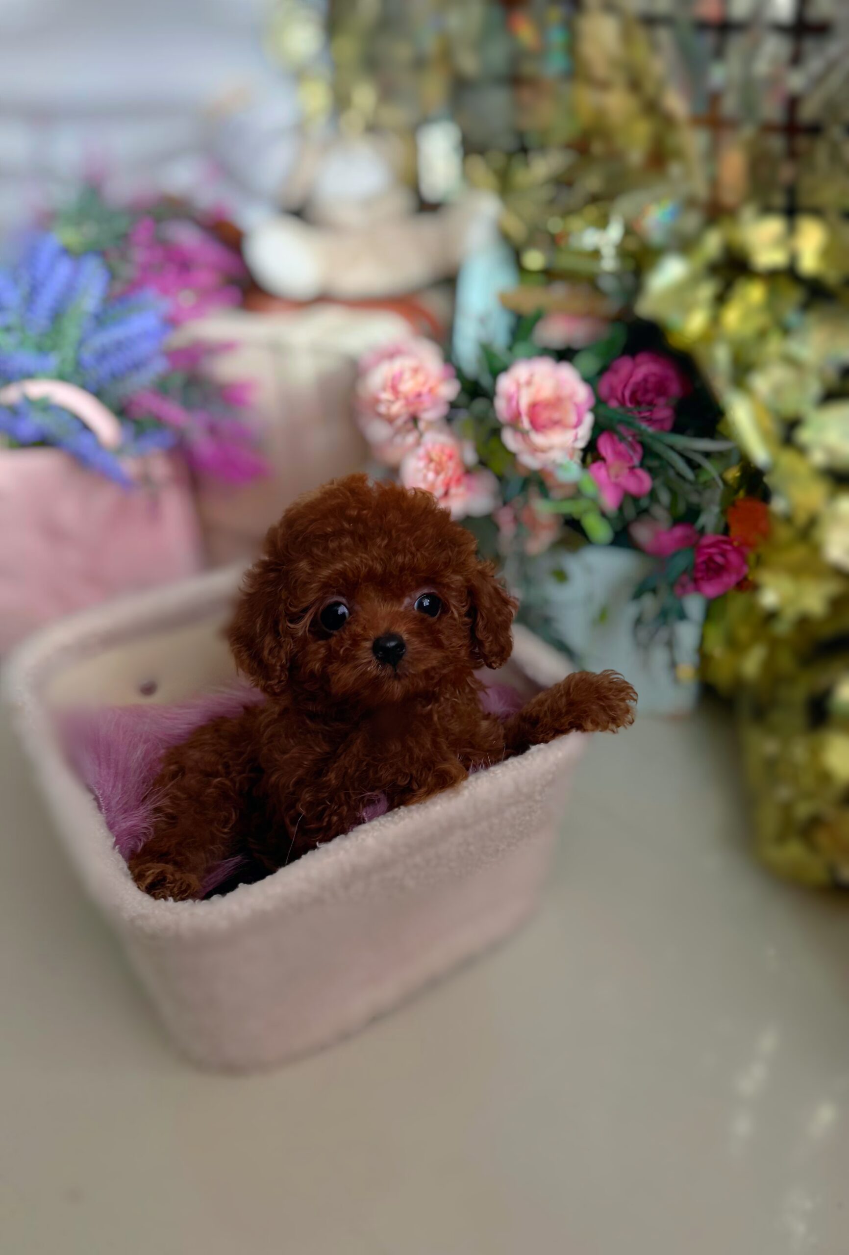 Огненный милашка Сью