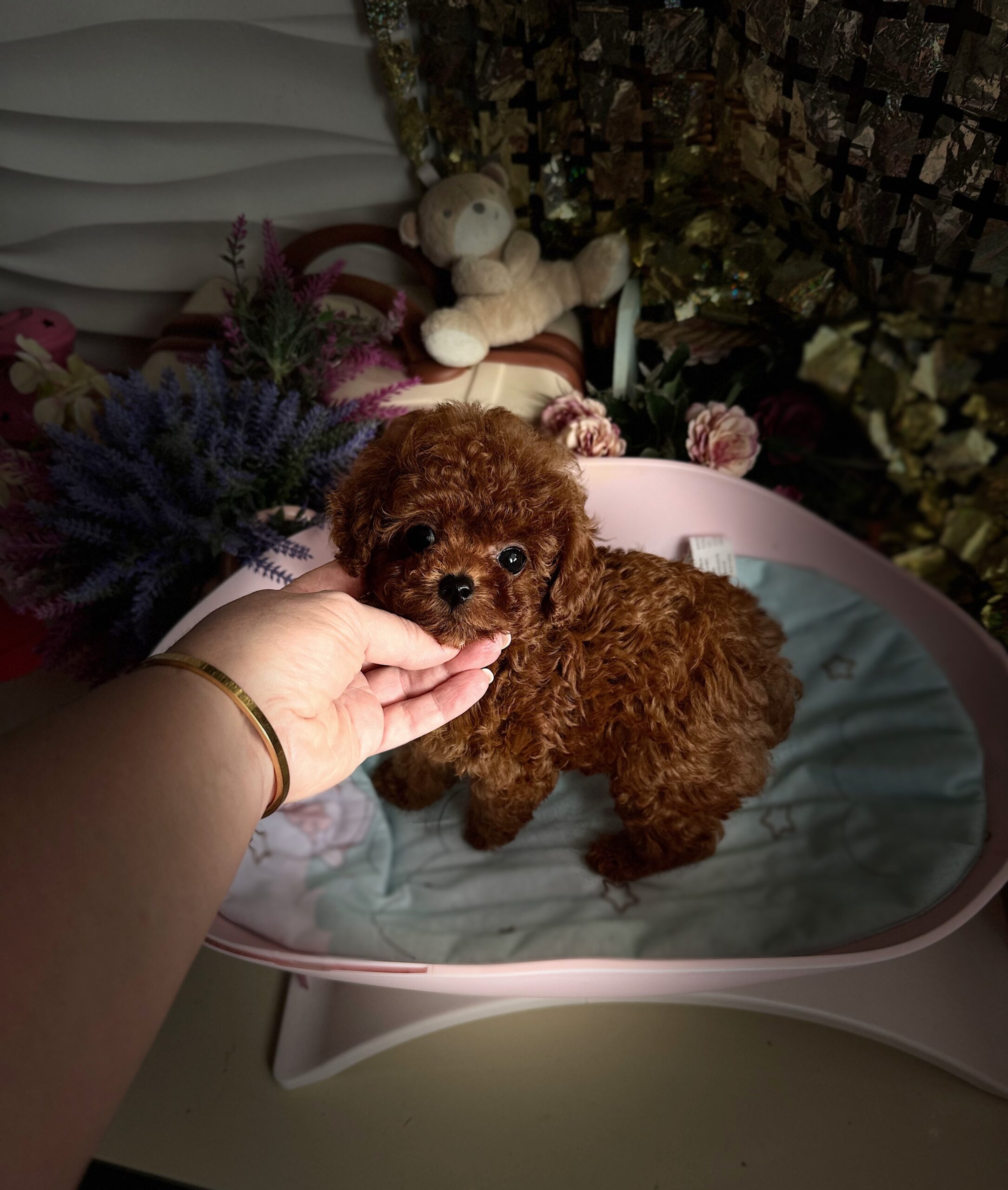 Огненный милашка Сью