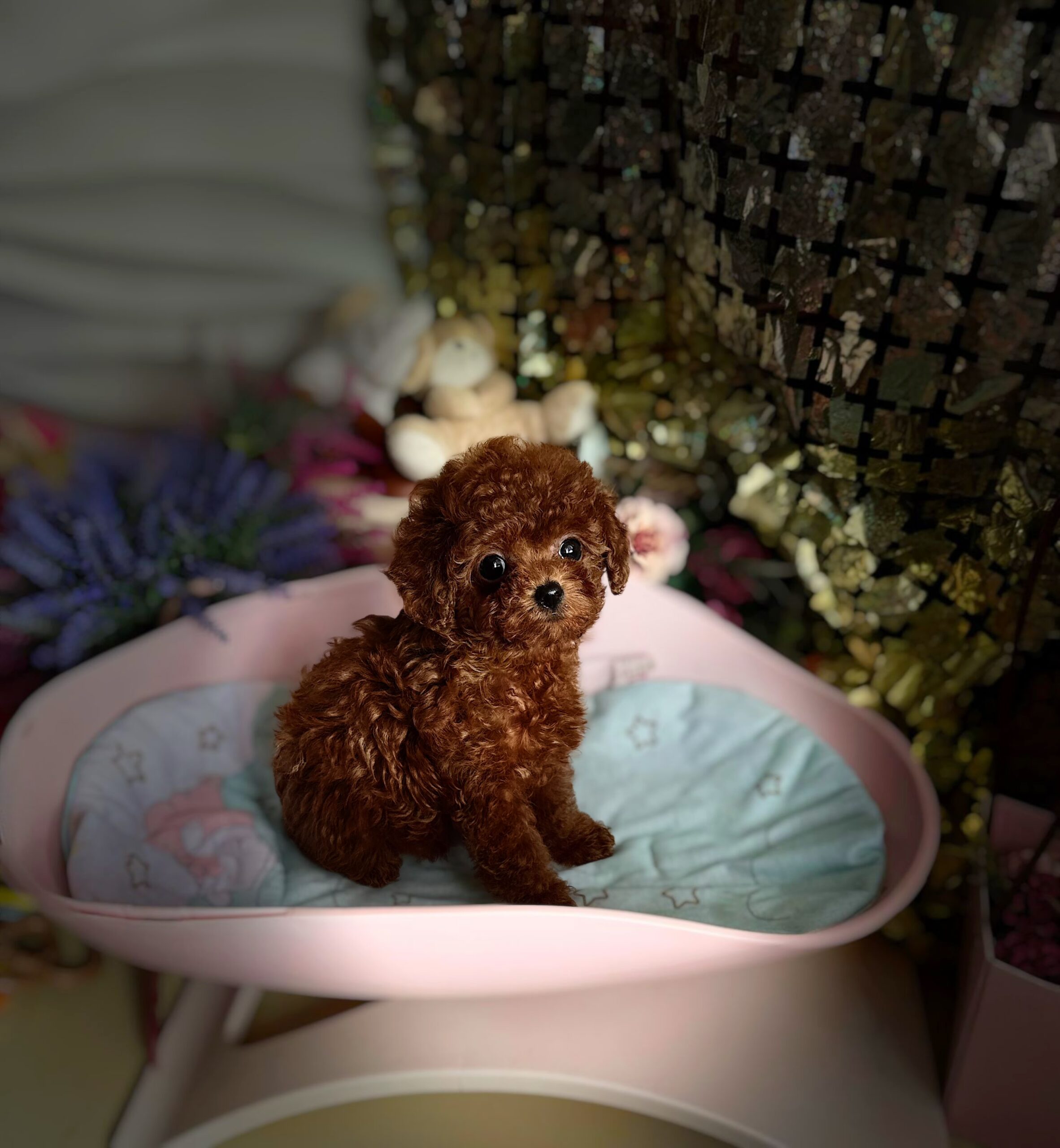 Огненный милашка Сью