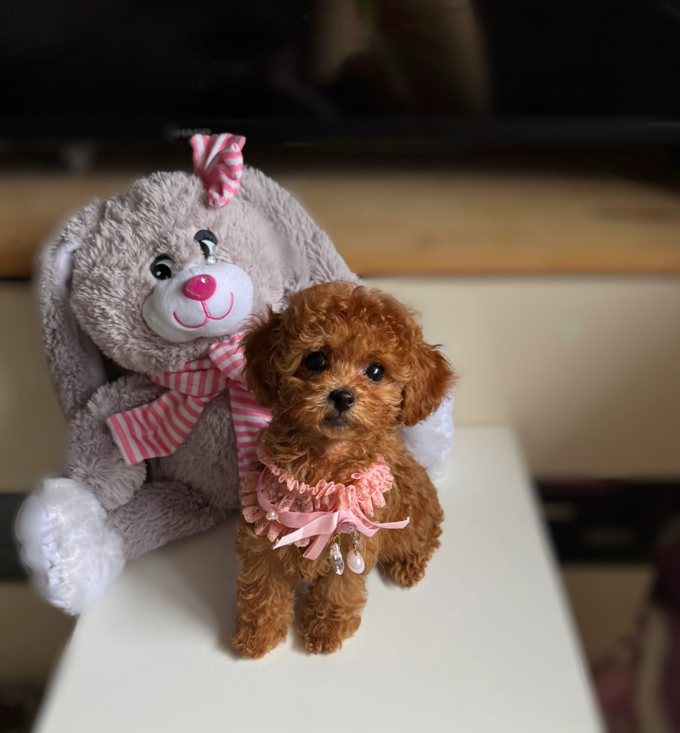 Кукольная красотка Синди