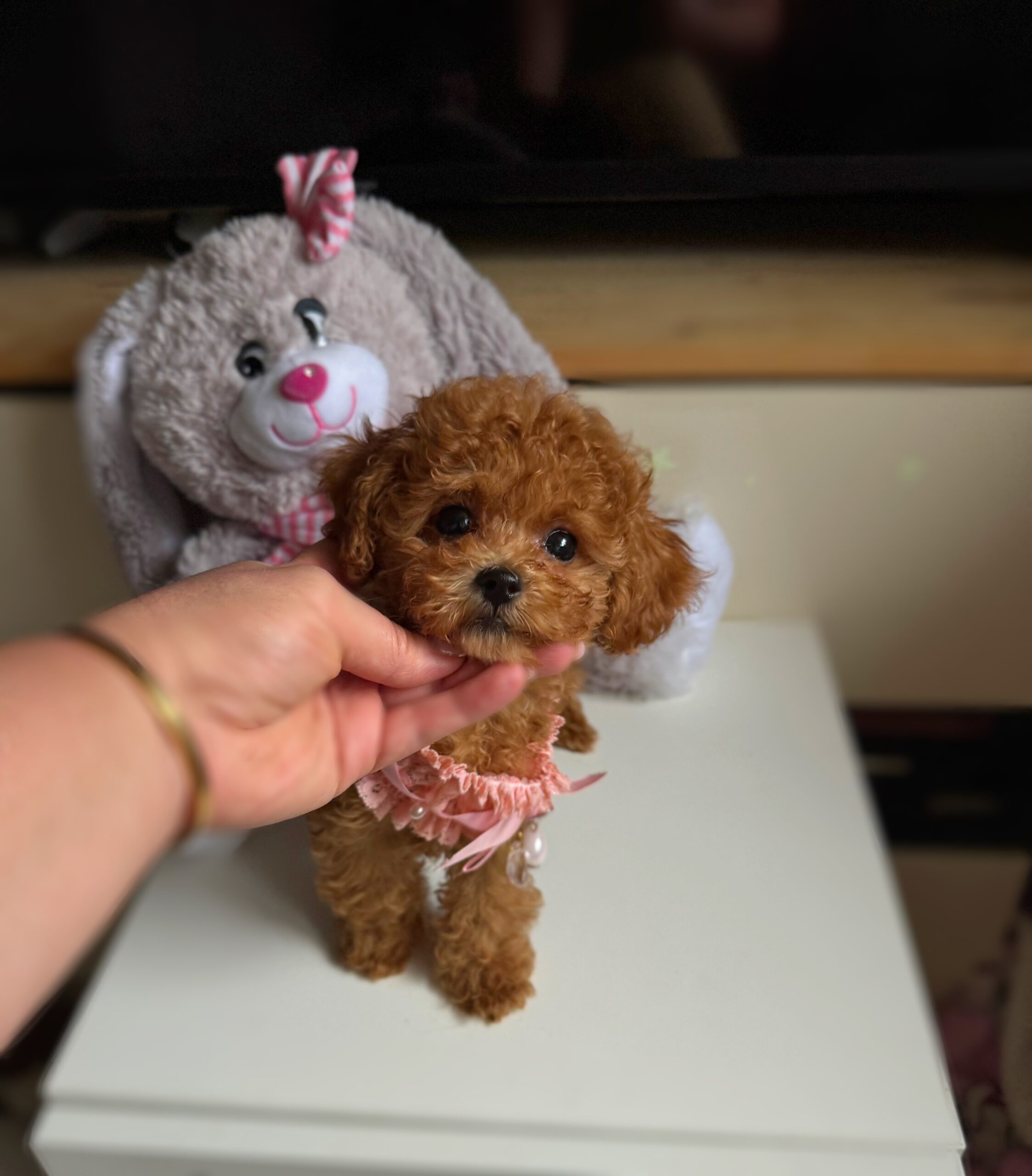 Кукольная красотка Синди