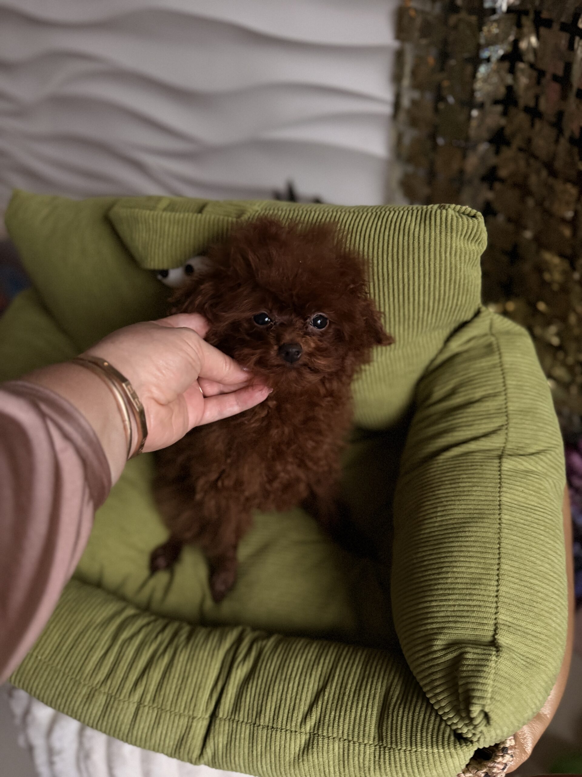 Тикап куколка Ванесса