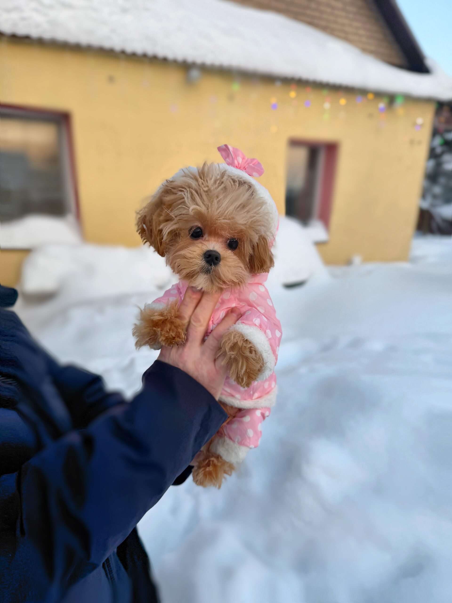 Лапушка крошка Оливия