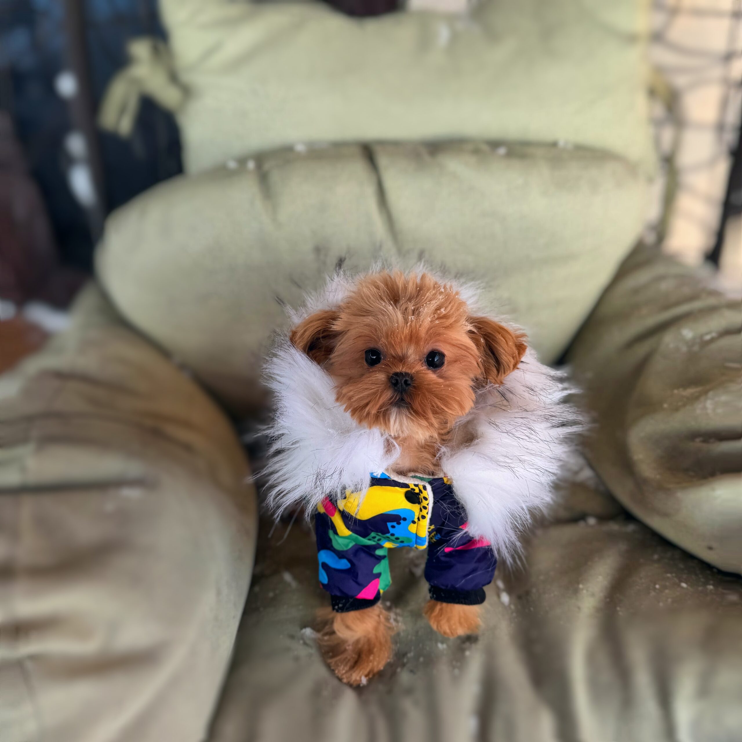 Мультяшный красавчик Симон