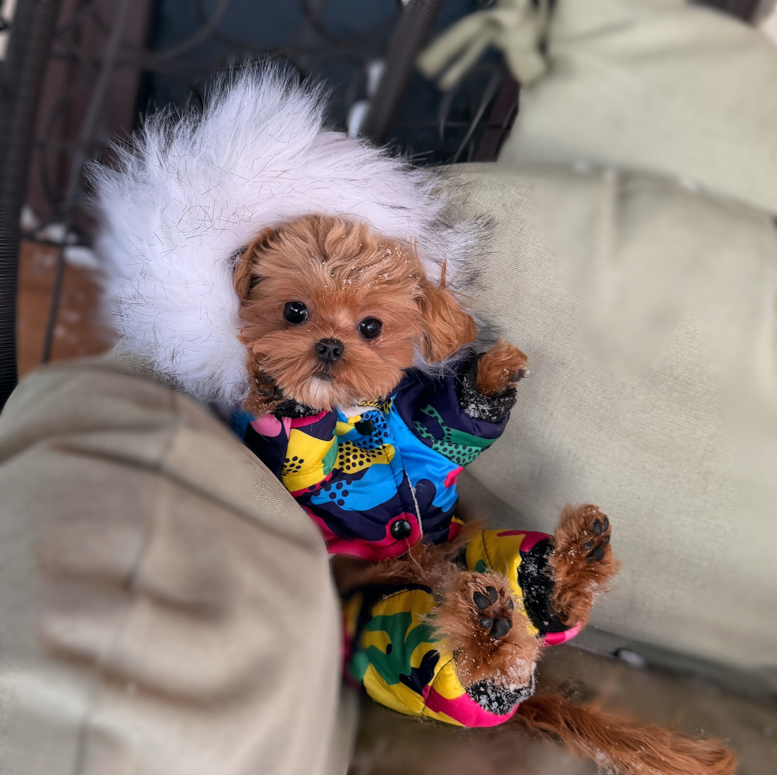 Мультяшный красавчик Симон