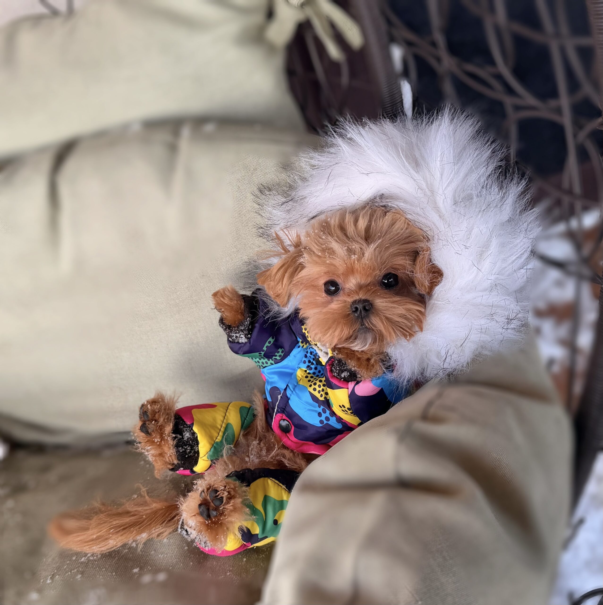 Мультяшный красавчик Симон