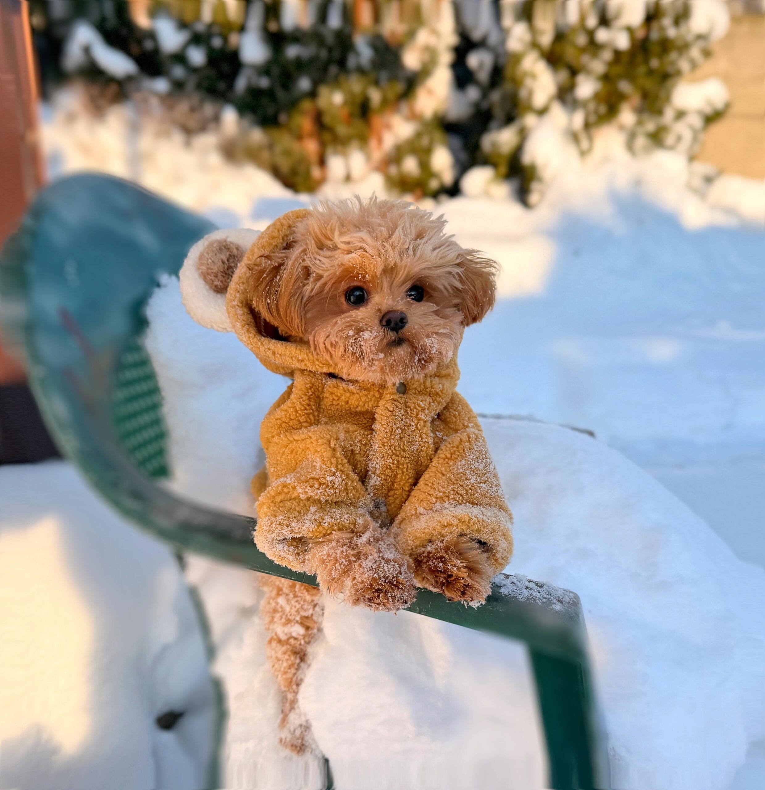 Плюшевая кудряшка Лили