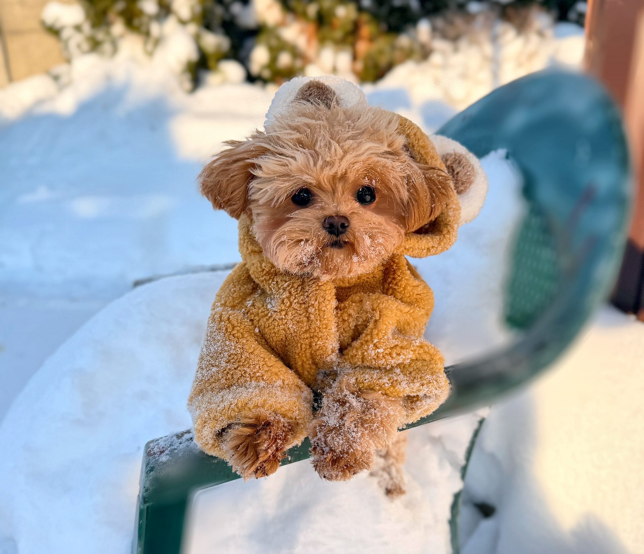 Плюшевая кудряшка Лили