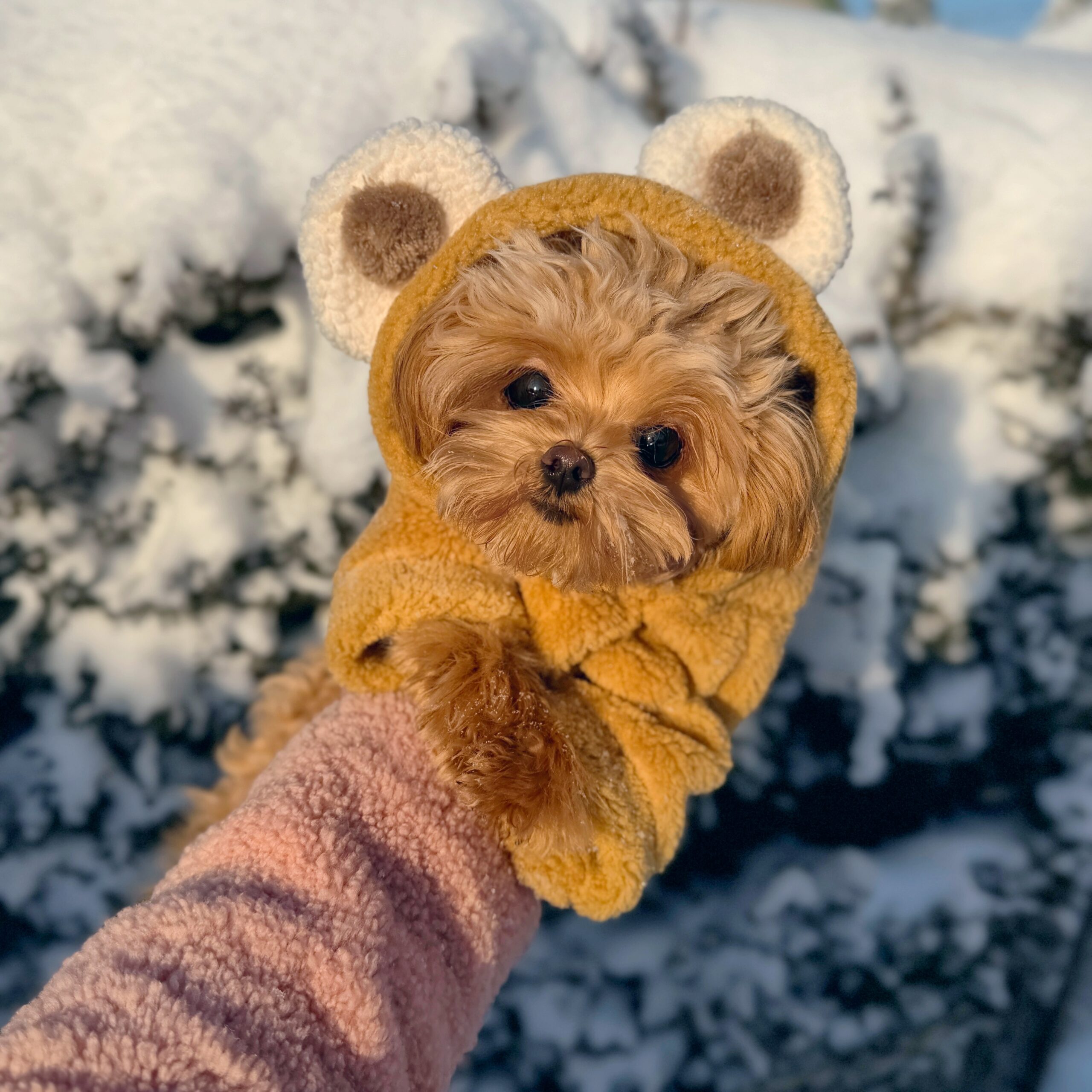 Плюшевая кудряшка Лили