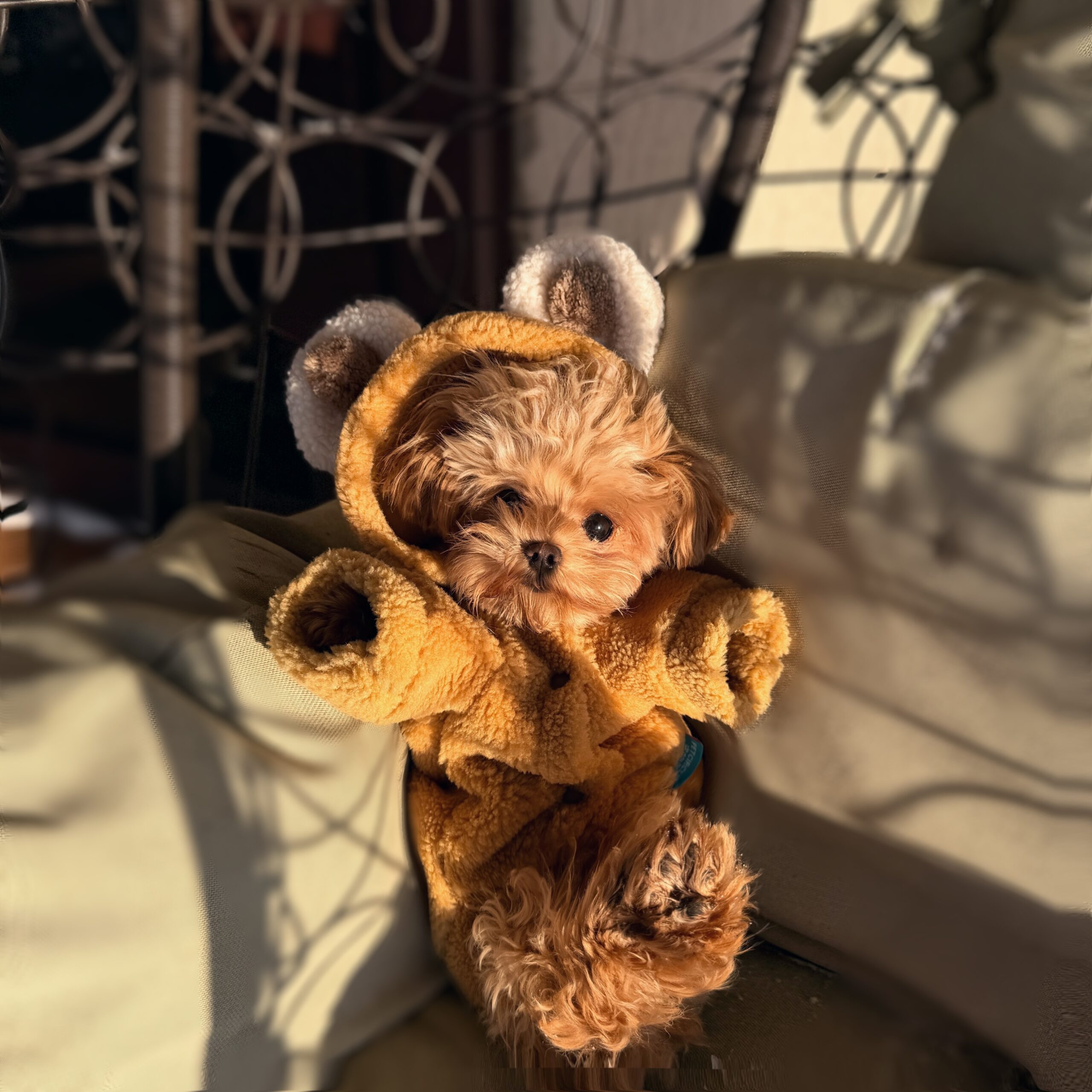 Плюшевая кудряшка Лили