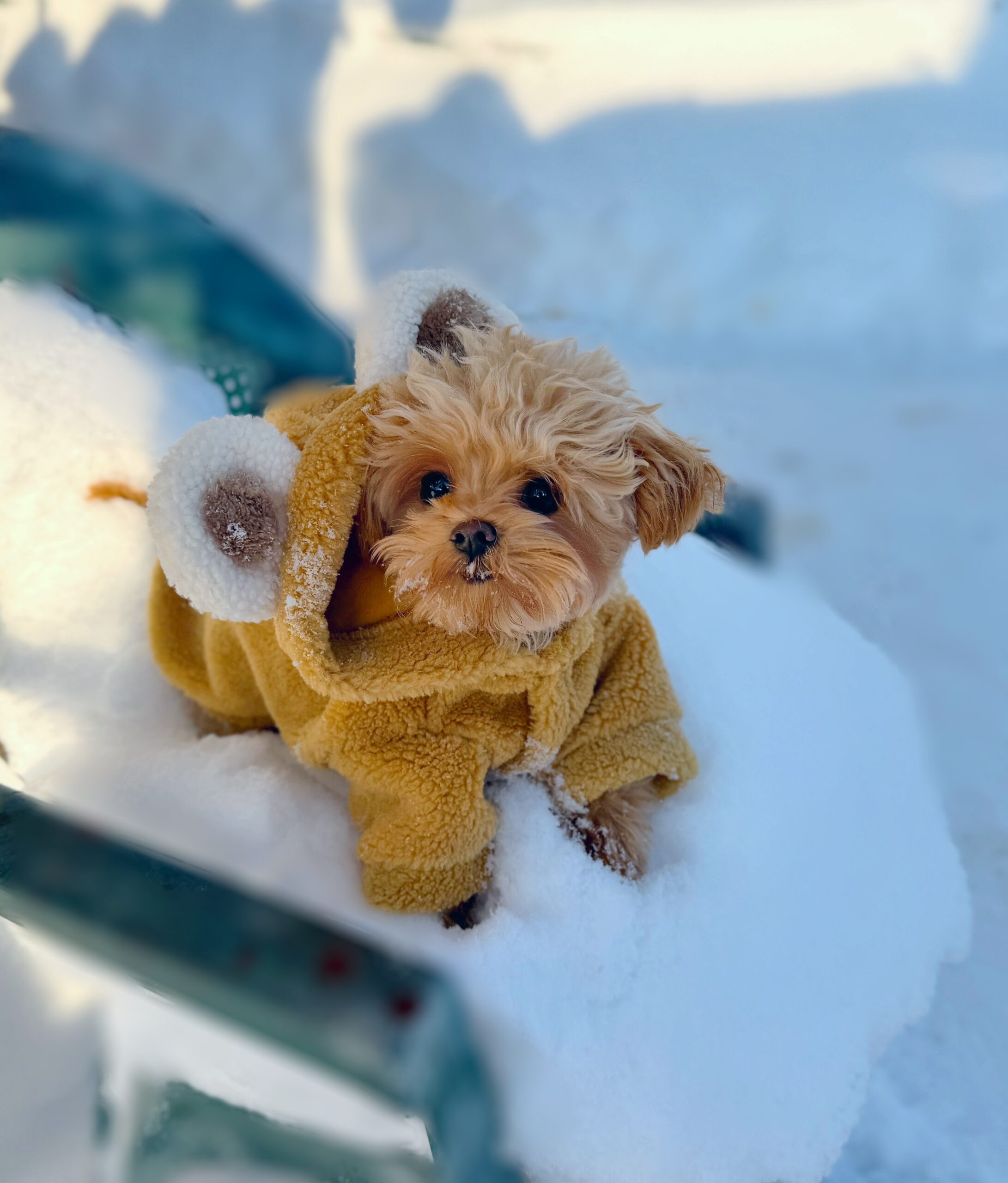 Плюшевая кудряшка Лили