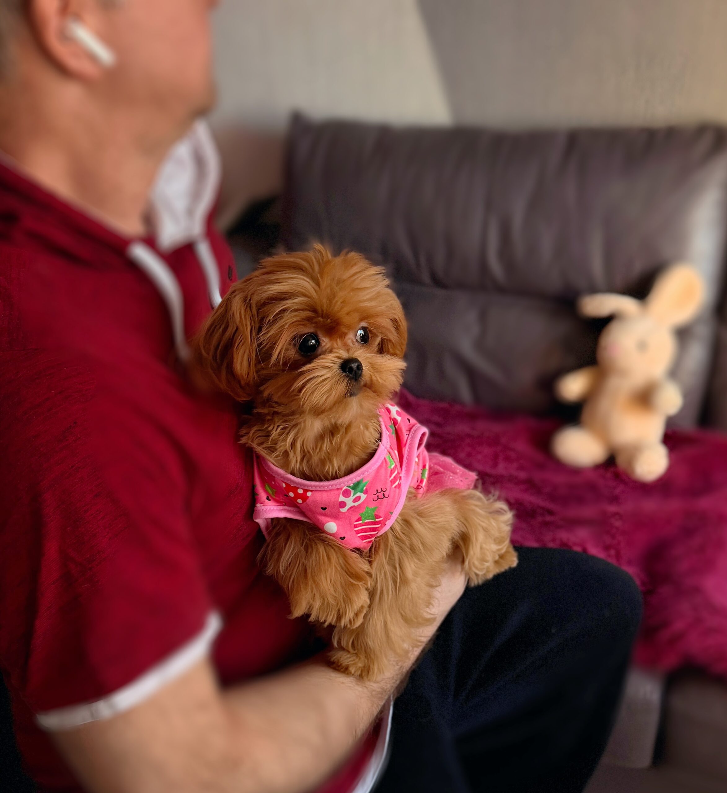 Сладкая шоколадка Холли