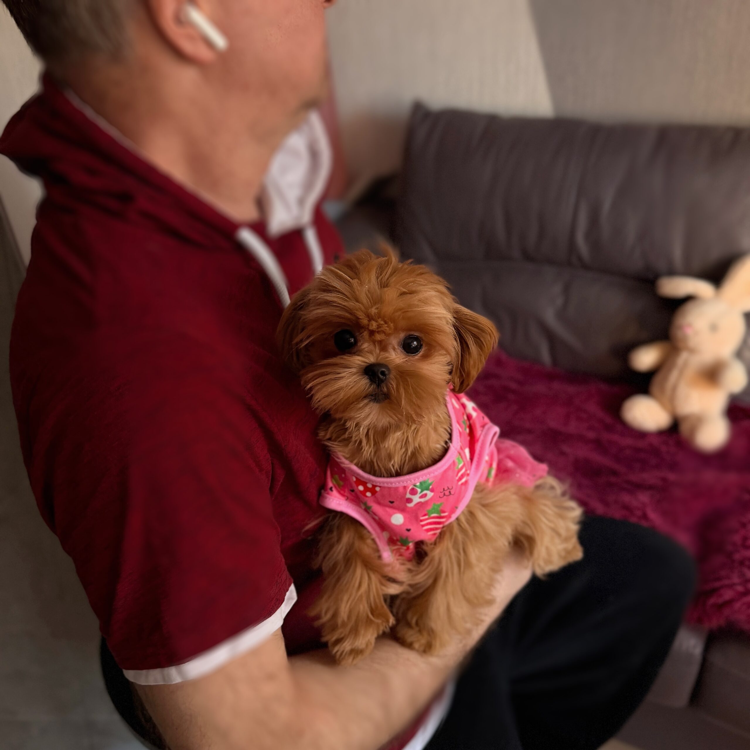 Сладкая шоколадка Холли