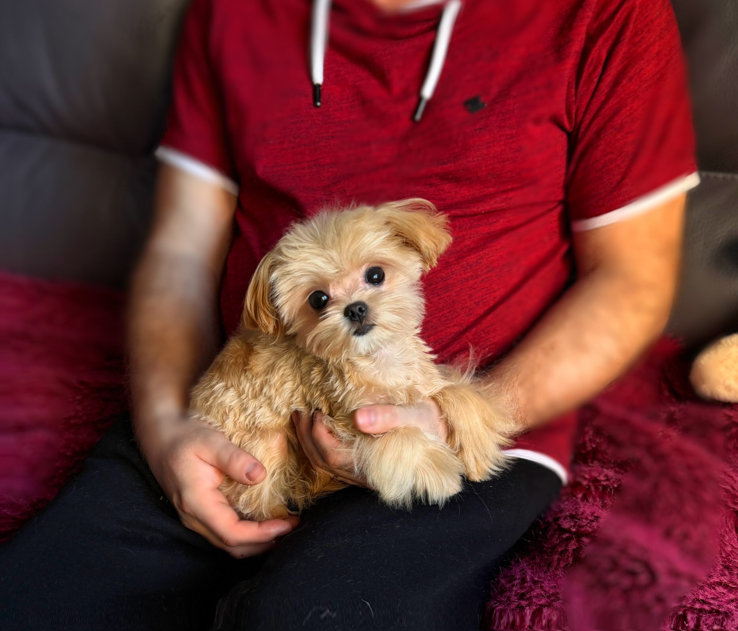 Сладкая зефирка Диор