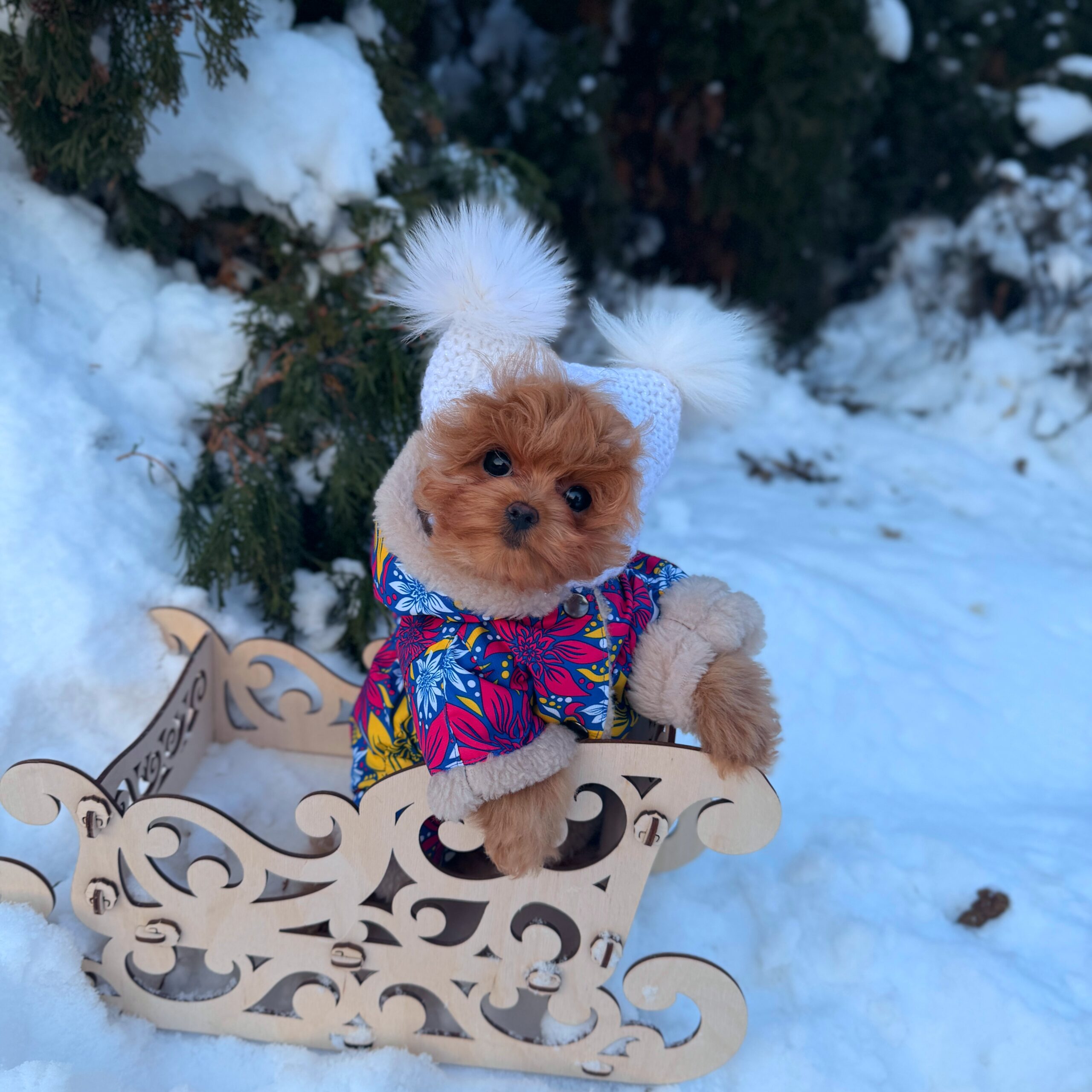 Плюшевая красотка Нори