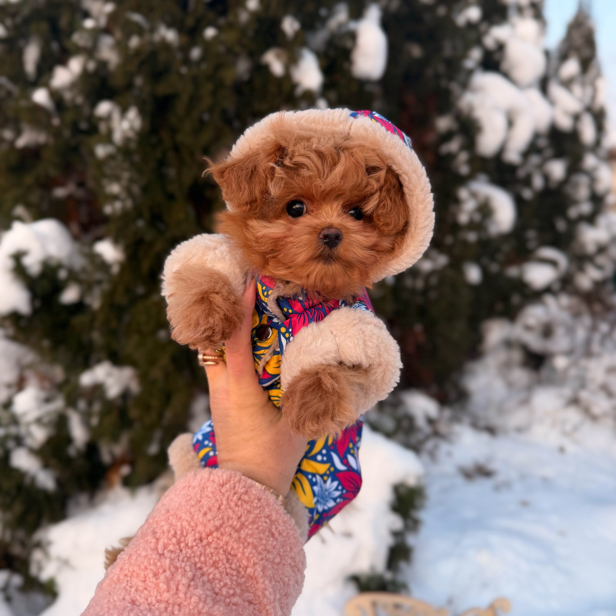 Плюшевая красотка Нори