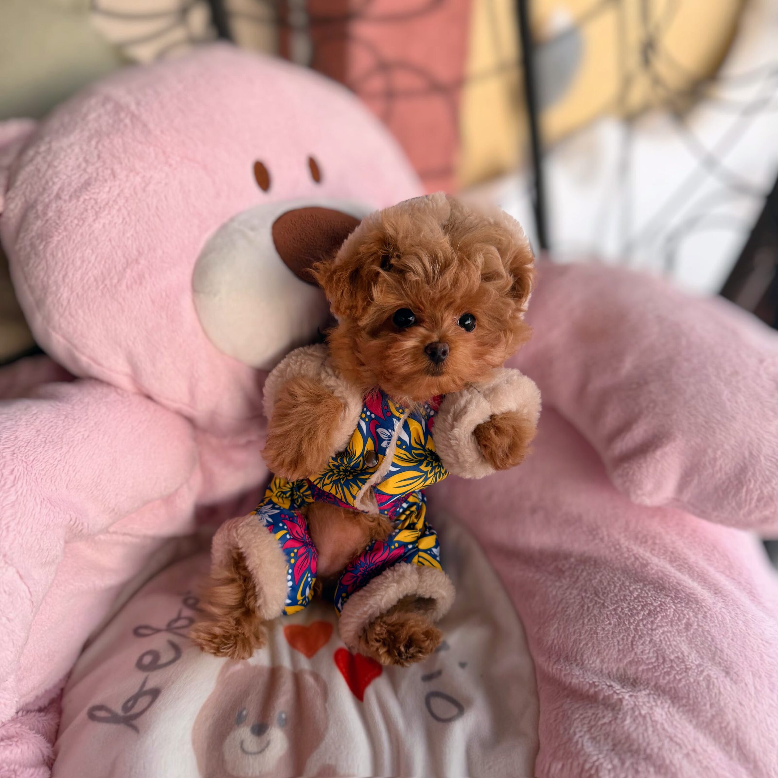 Плюшевая красотка Нори