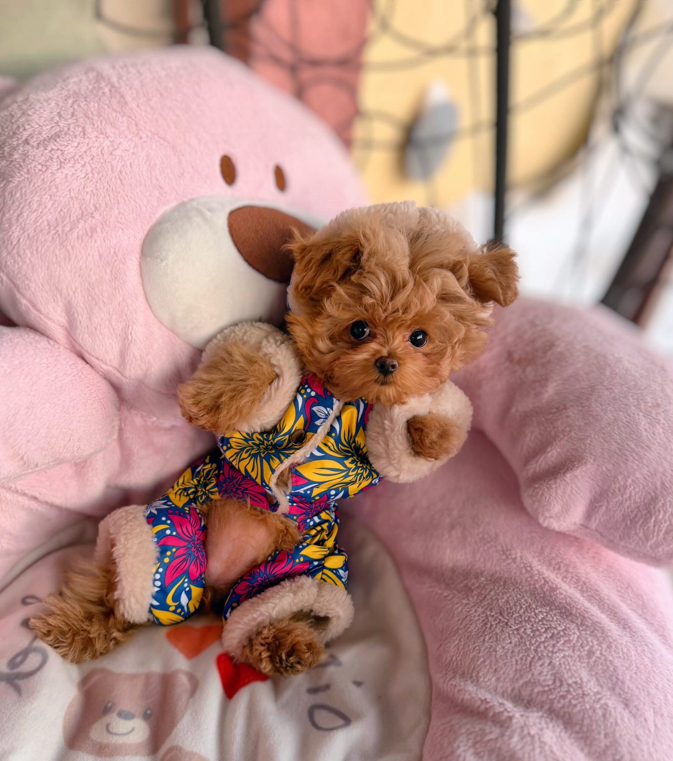 Плюшевая красотка Нори