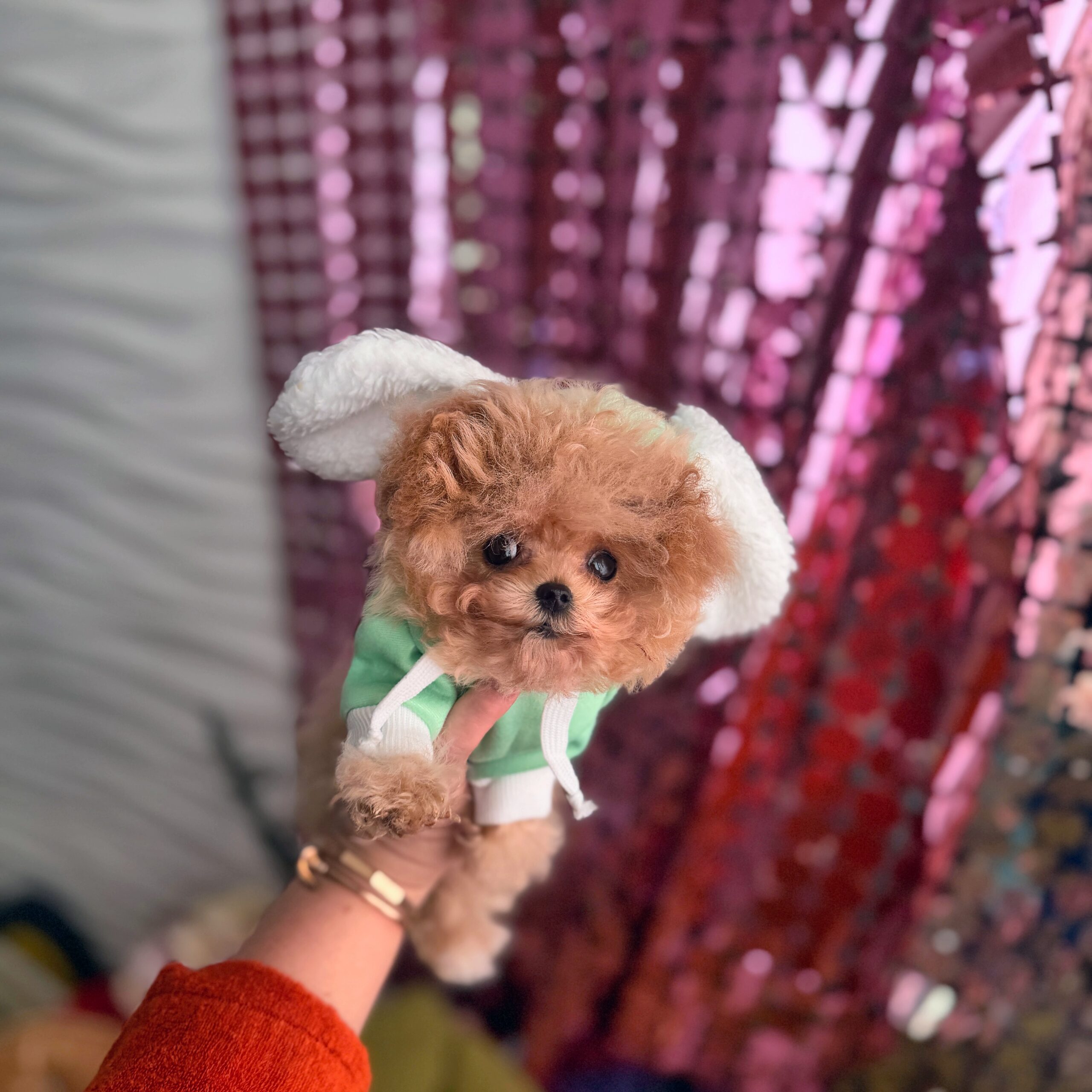 Кудрявая нежность микро красотка Ванесса