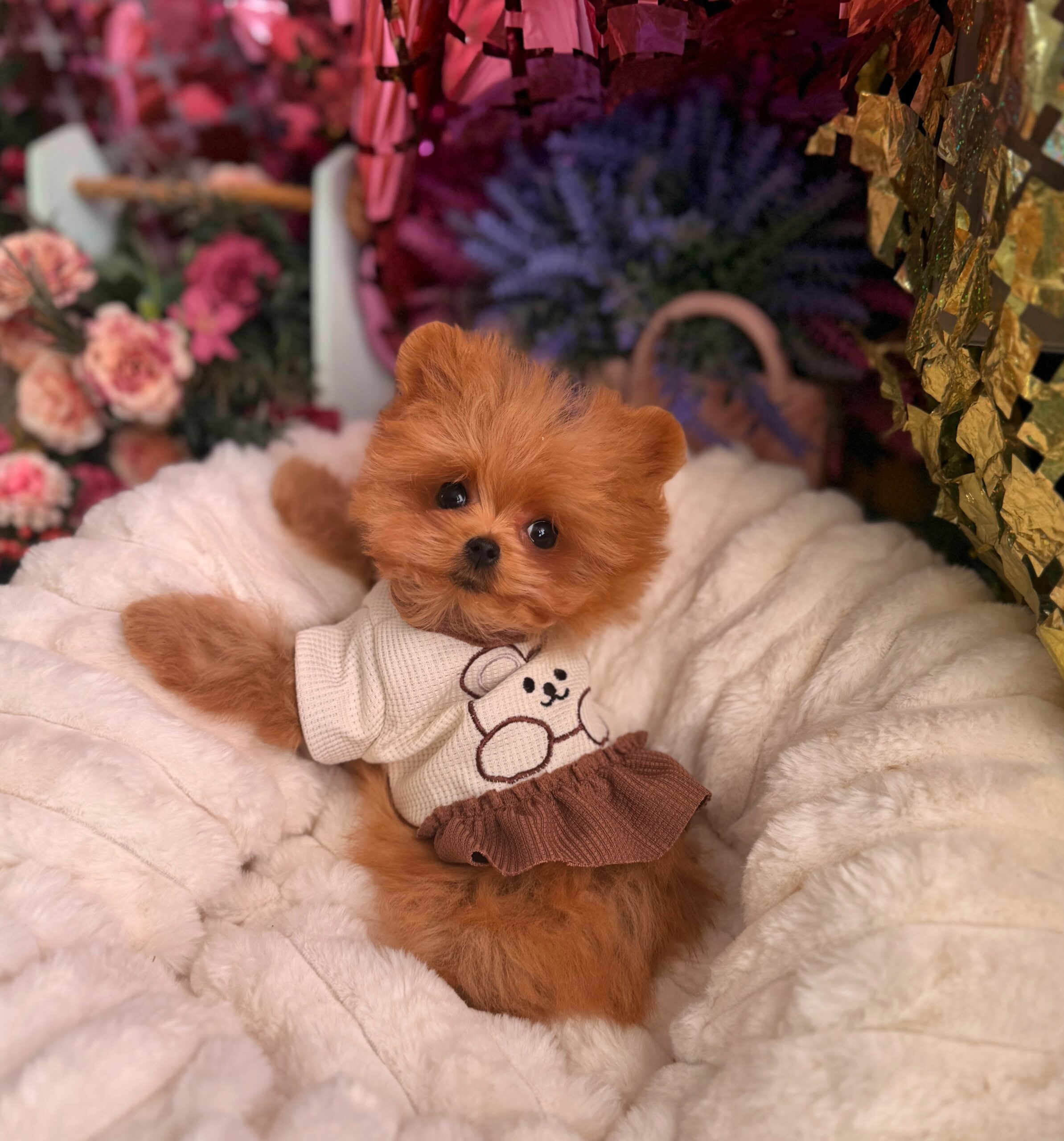 Яркая красотка мишутка Мия