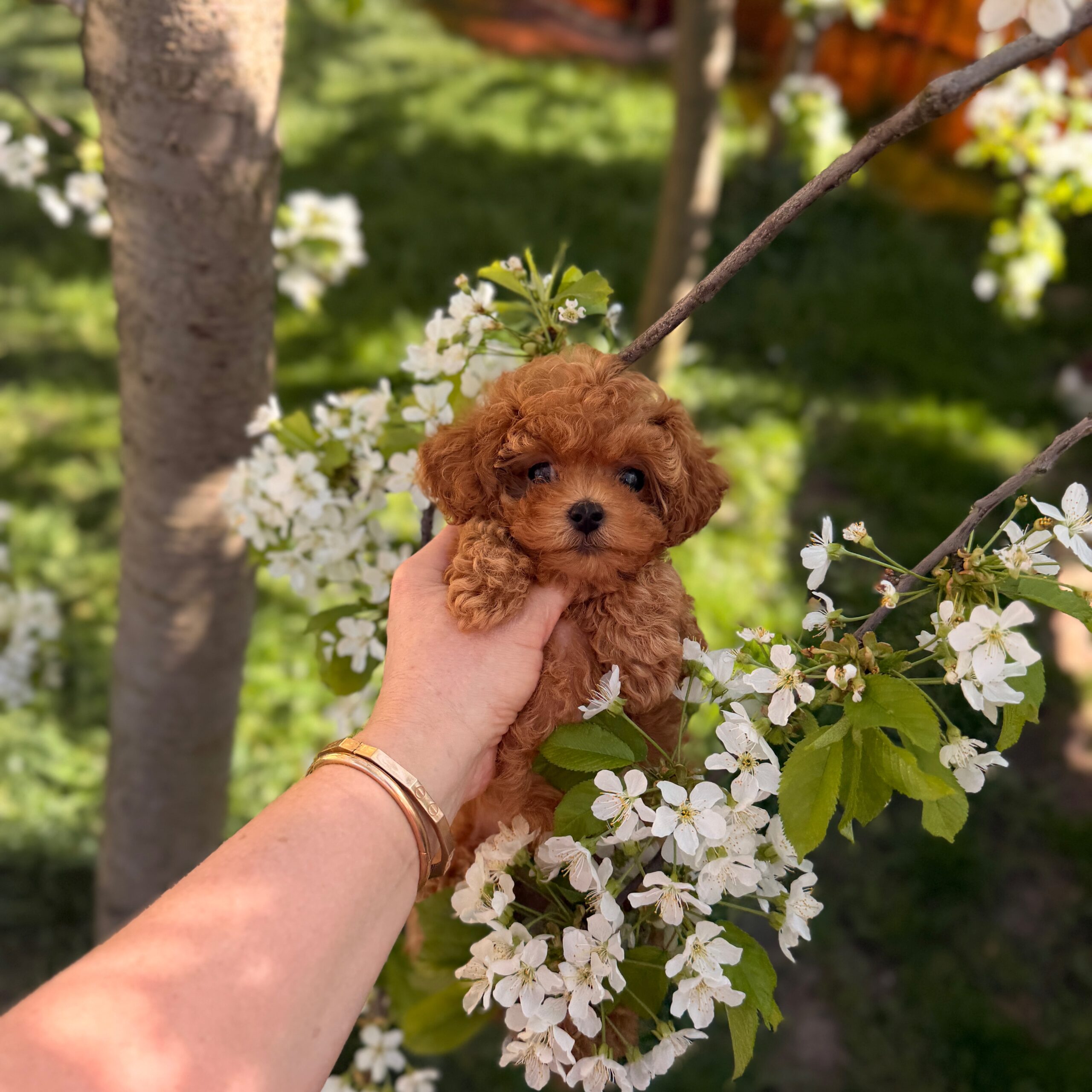 Милая кудряшка няшка ✨Плюша