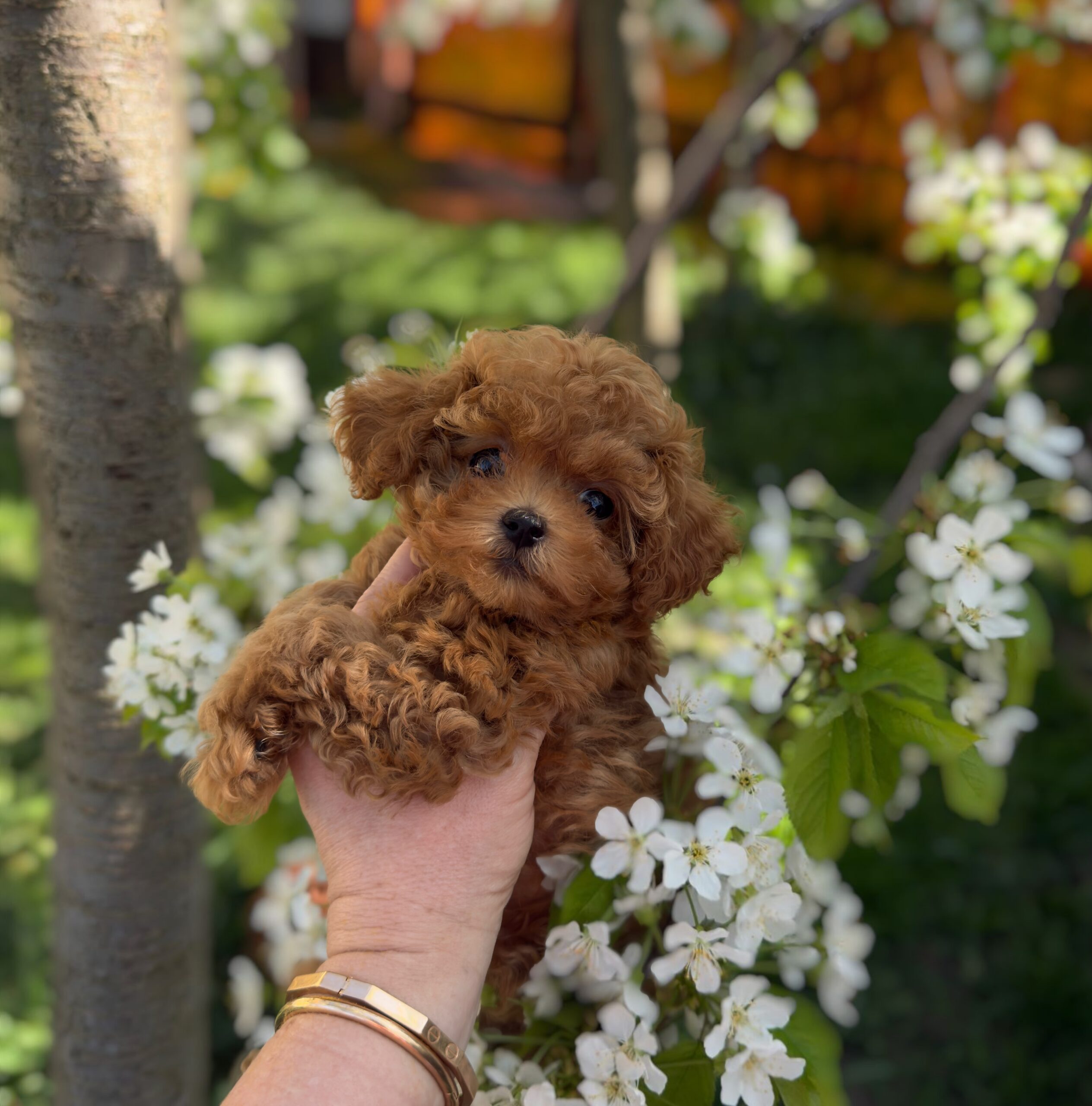 Милая кудряшка няшка ✨Плюша